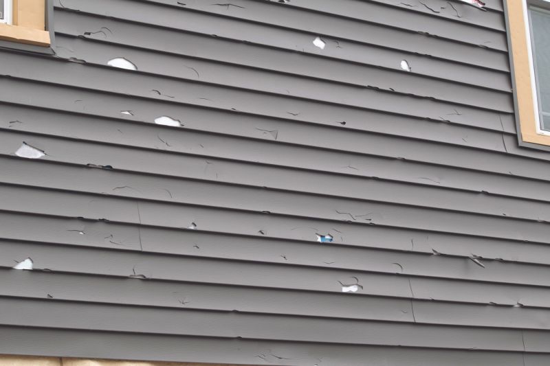 Local Siding Repair Services